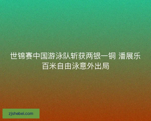 世锦赛中国游泳队斩获两银一铜 潘展乐百米自由泳意外出局