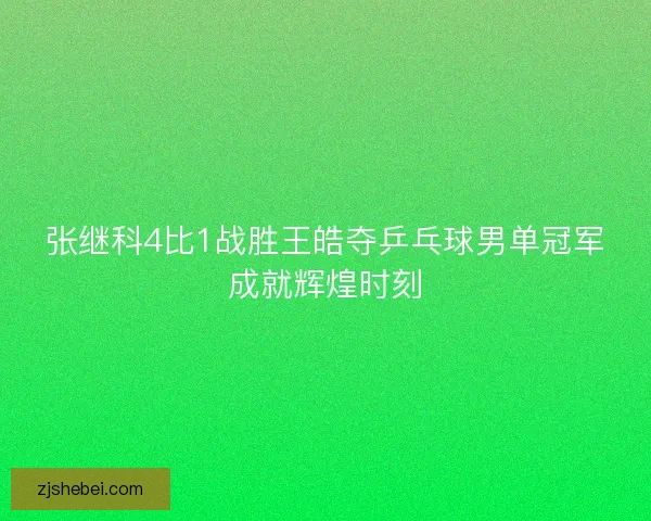 张继科4比1战胜王皓夺乒乓球男单冠军成就辉煌时刻