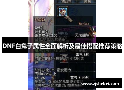 DNF白兔子属性全面解析及最佳搭配推荐策略